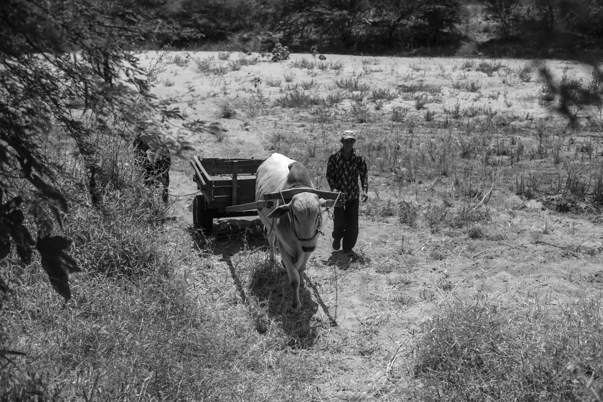 Fazenda Poco Das Pedras São João do Cariri 외부 사진