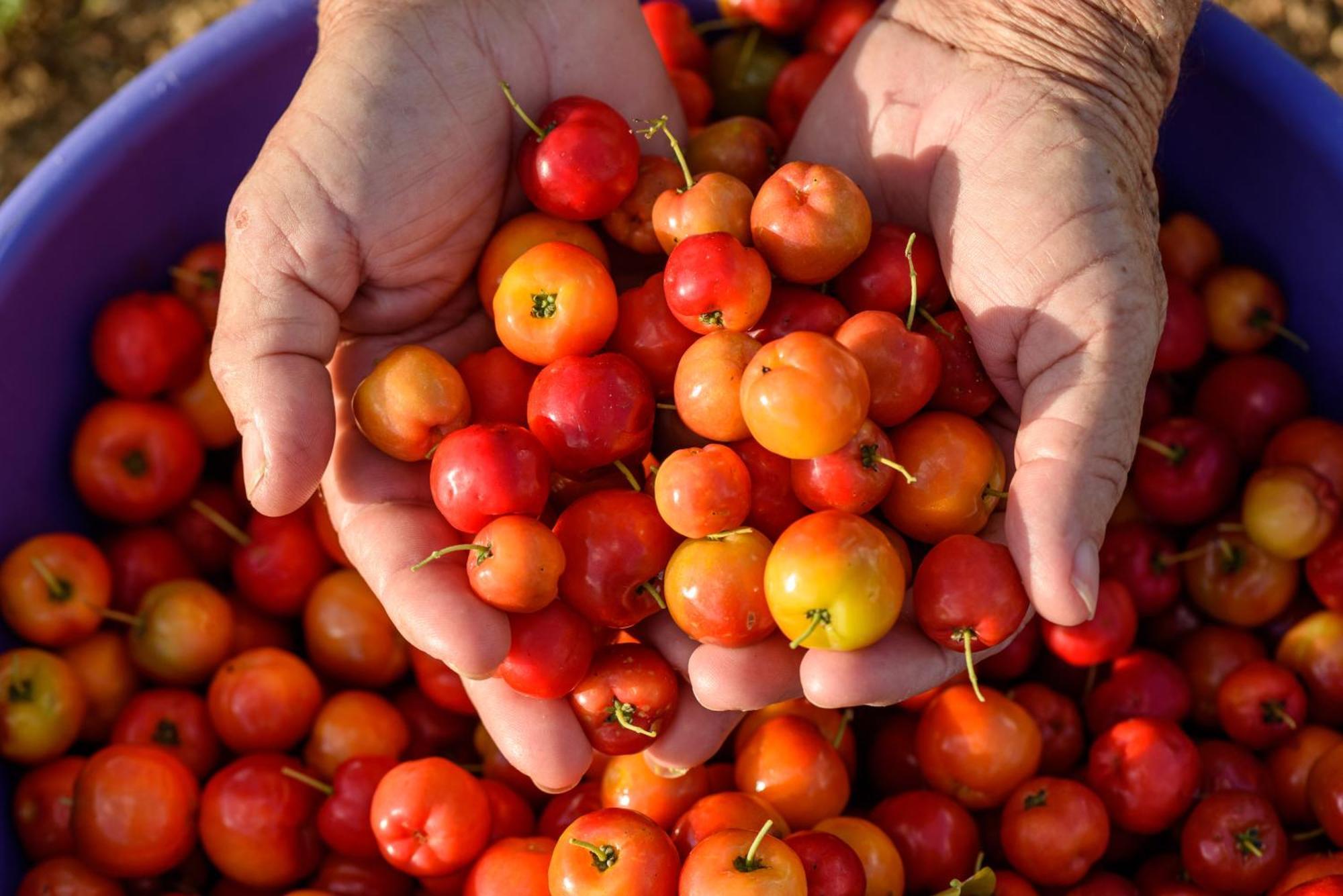 Fazenda Poco Das Pedras São João do Cariri 외부 사진