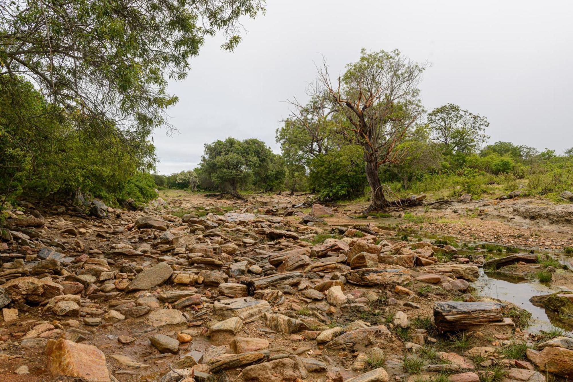 Fazenda Poco Das Pedras São João do Cariri 외부 사진